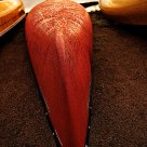 Rain soaked red canoe